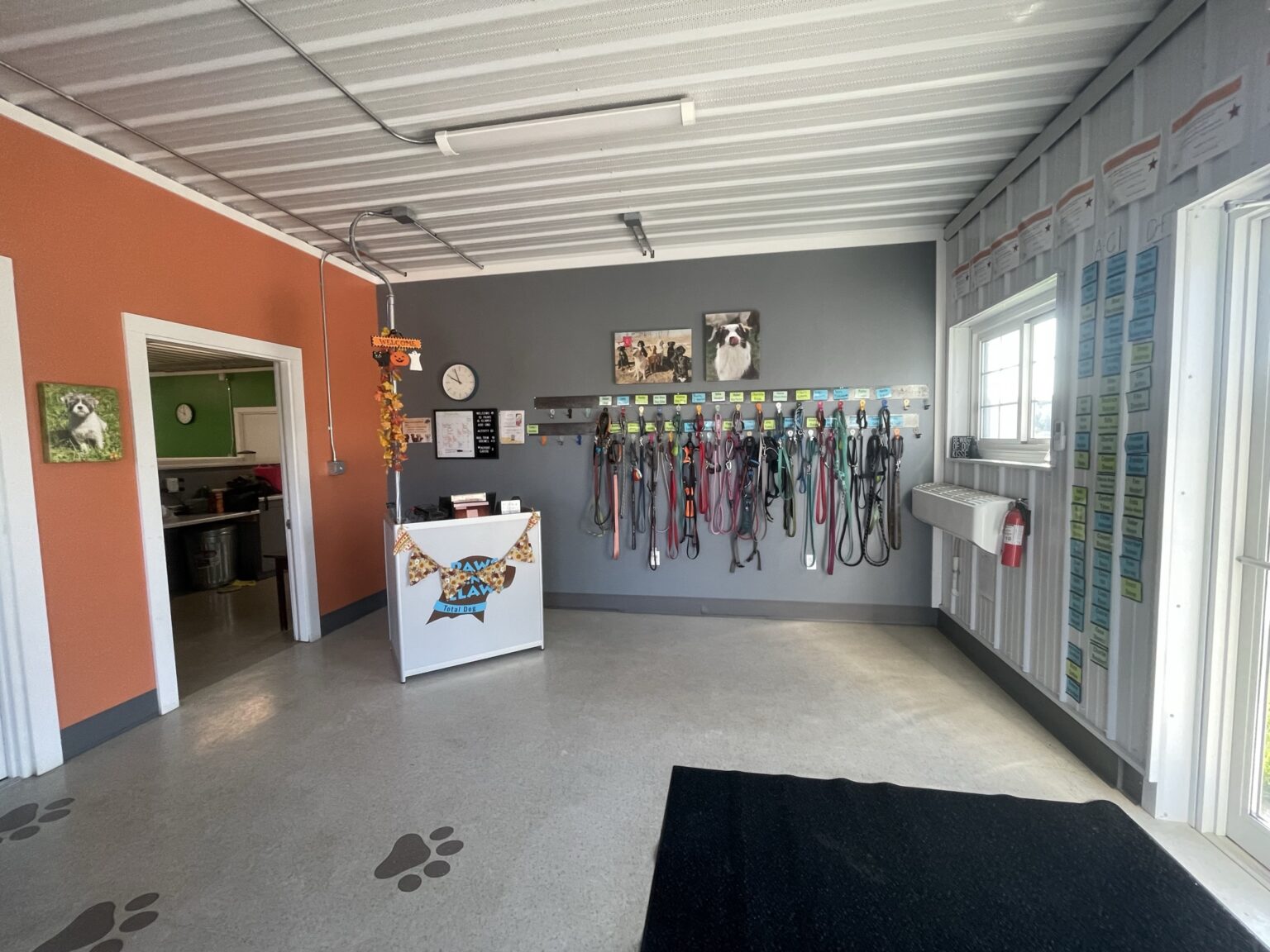 Doggie Daycare Eau Claire, Altoona, Chippewa Falls, Menomonie WI