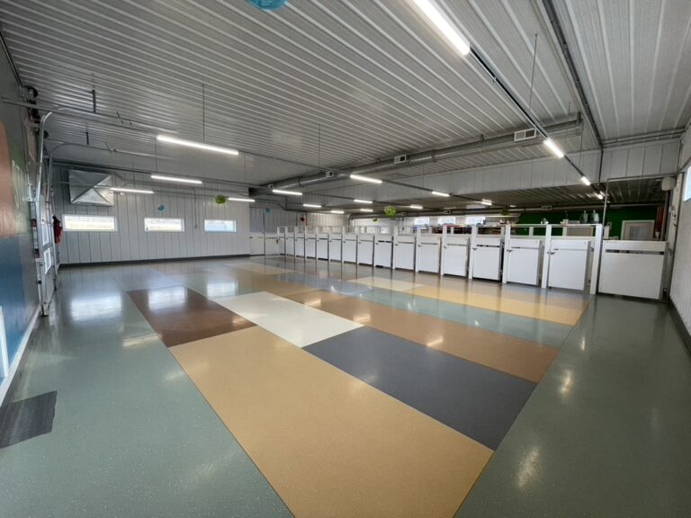 Doggie Daycare Eau Claire, Altoona, Chippewa Falls, Menomonie WI